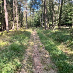 23-09-10 15-34-54 6632